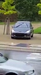 Elle descend les escaliers ... En voiture !