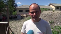 D!CI TV : Hautes-Alpes : il livre le troupeau de brebis de son voisin aux gendarmes