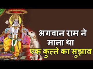 भगवान राम ने माना था एक कुत्ते का सुझाव | रामायण के अनसुलझे रहस्य हिंदी में | Adbhut Kahaniyan