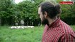 Brest. Des moutons pour tondre les espaces verts