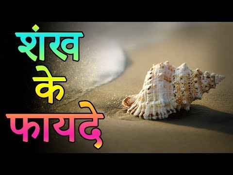 चमत्कारी शंख से जल्दी बने धनवान | शंख बजाने या घर में रखने के फायदे | Adbhut Kahaniyan