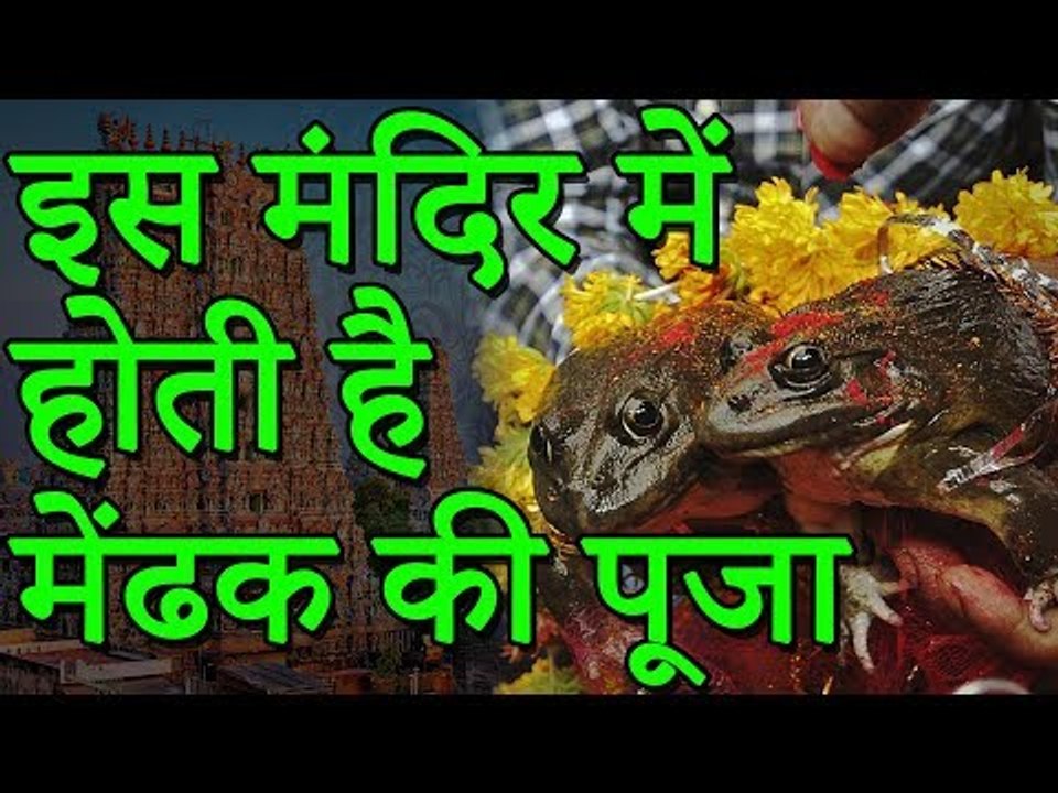 इस मंदिर में होती है मेंढक की पूजा | मन्नतें मांगने दूर-दूर से आते हैं लोग | Adbhut Kahaniyan