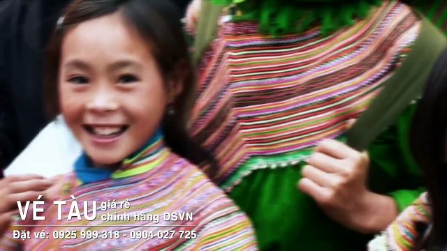 Mua vé tàu giá rẻ online DSVN - Công ty TAVIVU