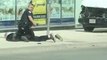 Toronto Police Seen Confronting, Arresting Man After Van Hits Pedestrians