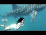 बहादुर Katrina Kaif ने दिखाई दिलेरी Shark के साथ की Swimming