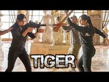 Katrina Kaif का दमदार Action Sequence Tiger Zinda Hai के लिए