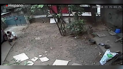 Para evitar ser mordido por unos perros terminó trepándose a un poste