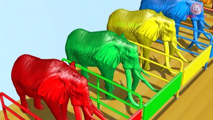 Learn Shapes and Learn Color Elephant Animals Nursery Rhymes for Children