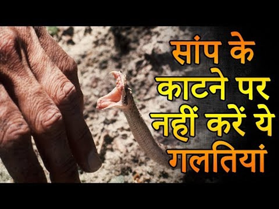 सांप काट ले तो भूलकर भी न करें ये गलति‍यां | Snakes Bites Types Symptoms | Healthy Remedy