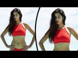 Katrina Kaif Red बिकिनी में लग रही है H0T | Throwback Memories