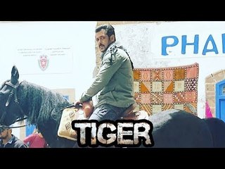 Salman Khan हुए घोड़े पर सवार Tiger Zinda Hai के शूट के दौरान | Morocco