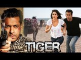 Tiger Zinda Hai के लिए  Salman और Katrina Dubai मैं करेंगे Shoot