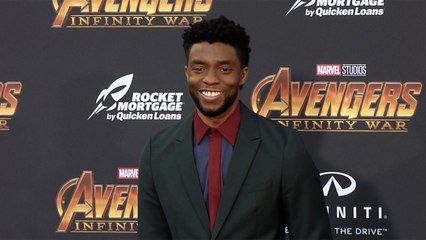 Chadwick Boseman “Avengers Infinity War” World Premiere Purple Carpet