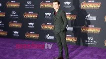 Tom Holland “Avengers Infinity War” World Premiere Purple Carpet