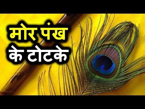 मोर पंख के टोटके | Peacock feather tricks | Desi Totke - देसी टोटके