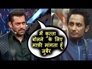 Salman का झुका सर Zubair Khan के सामने । सबके सामने मांगी माफ़ी
