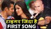 Salman के Tiger Zinda Hai का फर्स्ट गाना हुआ रिलीज़ । Vishal Dadlani है बोहोत  खुश