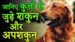 जानिए कुत्तों से जुड़े शकुन अपशकुन | Shakun Shastra –Shakun Apshakun for dog| Desi Totke -देसी टोटके