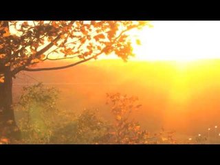 Se détendre Flûte Musique avec un son naturel, reiki musique Zen, la méditation du matin