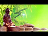 Bouddha Dreamer - Healing Zen Music, Relaxation Zen Music, Inner Peace, Nature Sounds