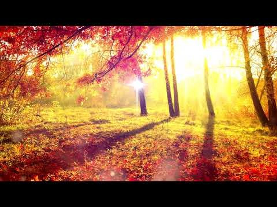 1 HEURE - Méditation Relaxer Musique, Nature Sounds, Musique Relaxante, Musique Positive