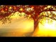 Sunset Relaxing Piano Music, Healing Music for Study, Concentration, Stress Relief, Mind Relaxation