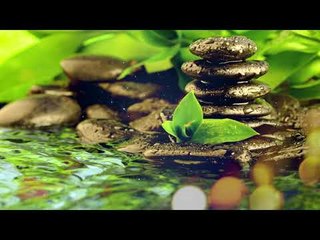 Musique Zen - Soulagement du stress Musique, Musique spirituelle, Méditation, Anti-stress