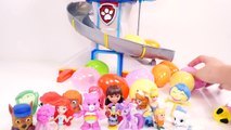 Mejores Videos Para Niños Aprendiendo Colores - Paw Patrol Station 30 Surprise Eggs Learn Colors