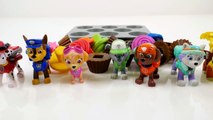 Mejores Videos Para Niños Aprendiendo Colores - Paw Patrol Cupcakes Learning Colors and Shapes