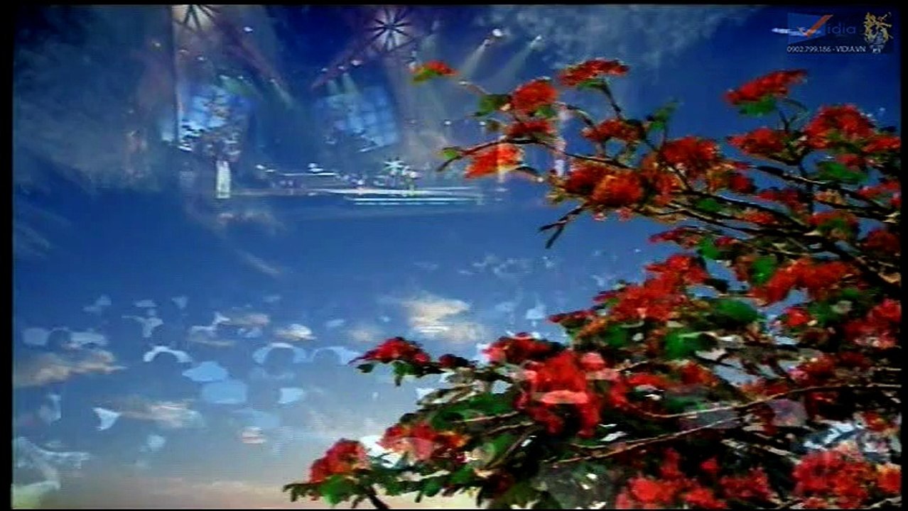 Nỗi Buồn Hoa Phượng - Thanh Tuyền