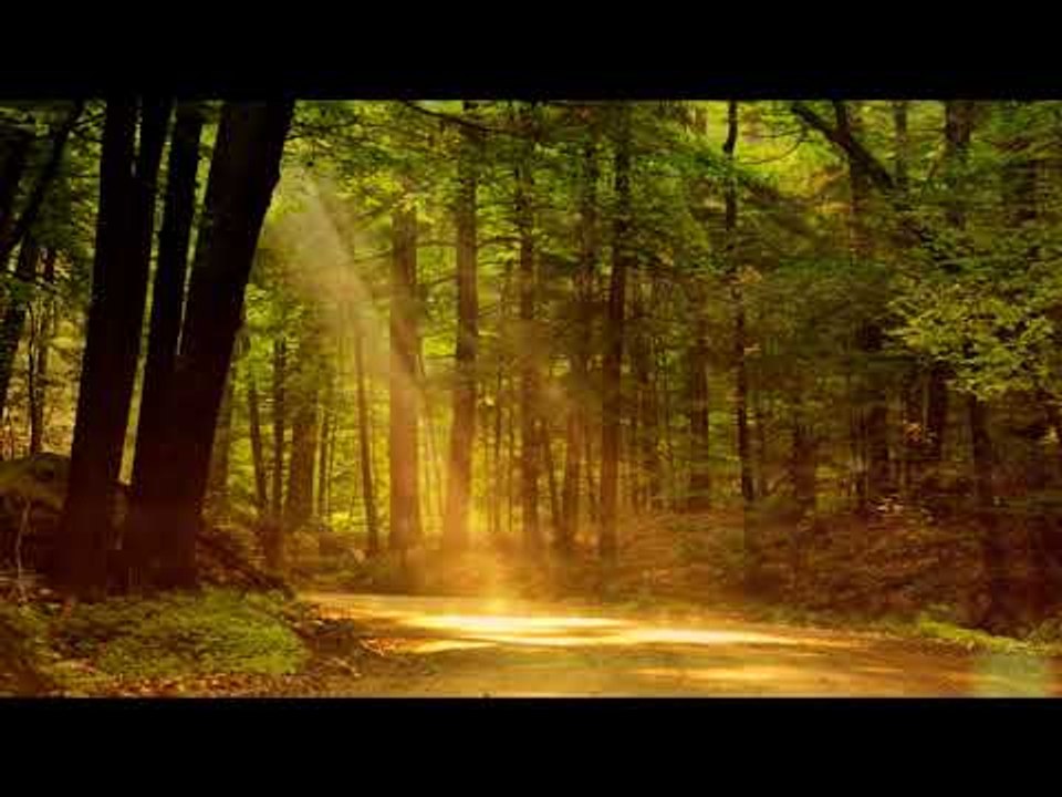 Musique indienne de flûte: musique de relaxation, musique apaisante, musique apaisante