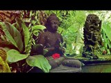 1 Heures Relaxing Flute Sounds, Zen Meditation Music, Relaxing Music, Relax Mind Body