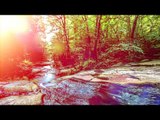 Spa relaxant Chill Out Music, Love Every Moment of Life - Ambient Lounge Chill Out Music