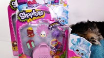 Shopkins Temporada 4 Con ZUMI la Cachorrita 2016 Canastas Shopkin Sorpresa