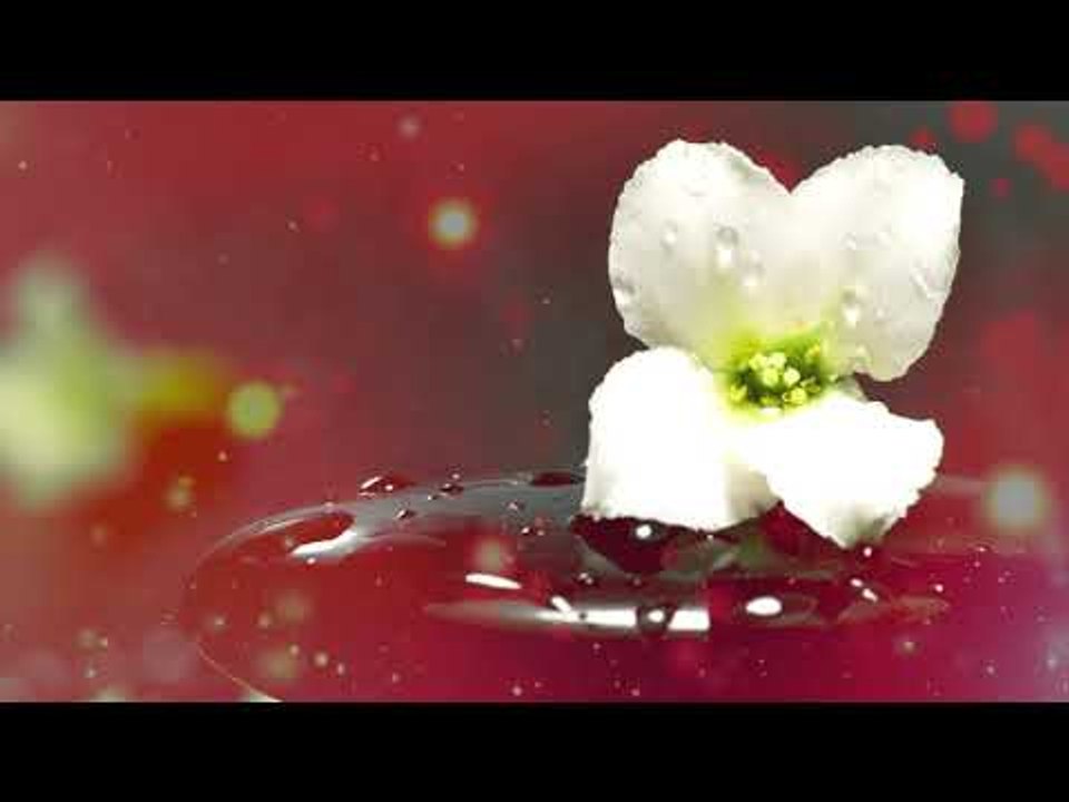 Musique Zen - Soulagement du stress, Musique de paix intérieure, Musique apaisante