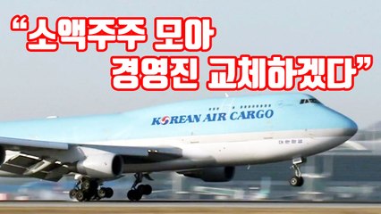 [자막뉴스] "대한항공 소액주주 모아 경영진 교체하겠다" / YTN