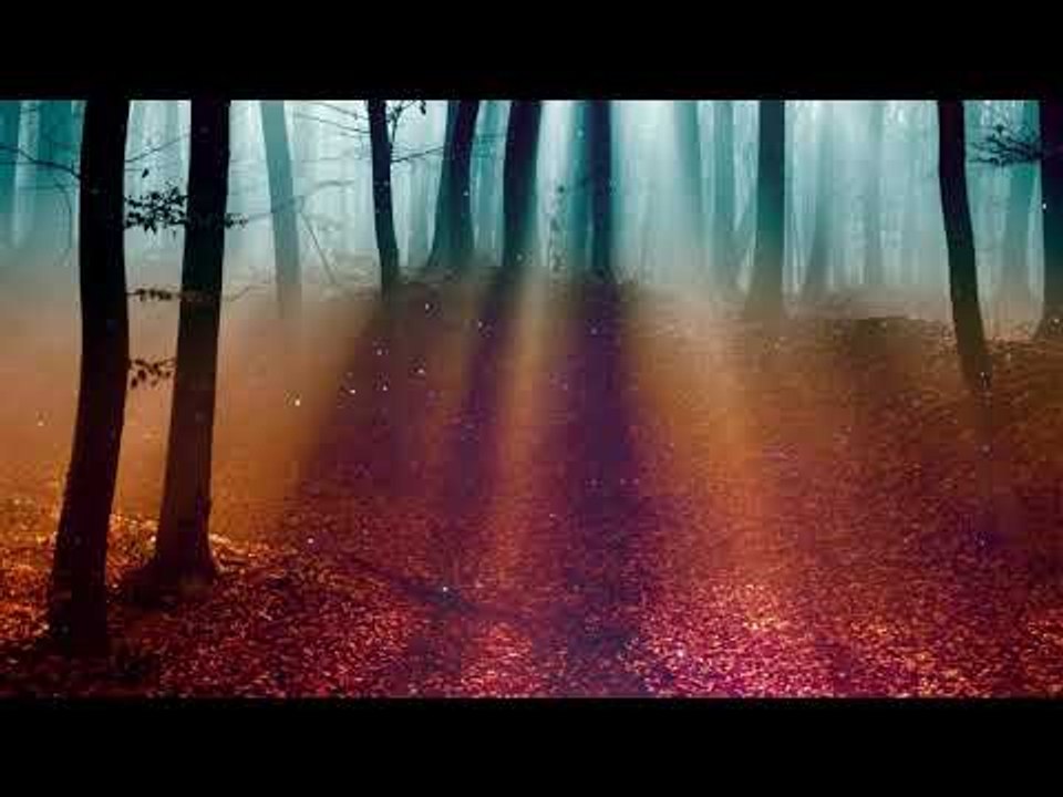 Musique celtique relaxante, Brise du soir, Forêt d'automne - Musique relaxante