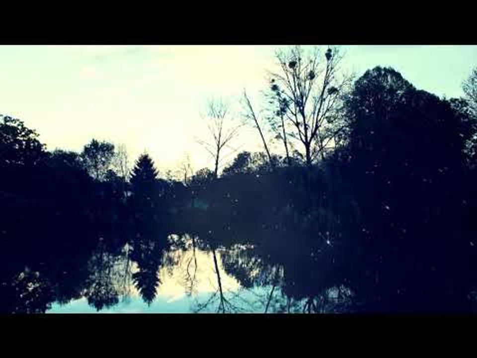 Calming Relaxing Waters - Musique relaxante, soir, nature, sons | Relax Meditation Club