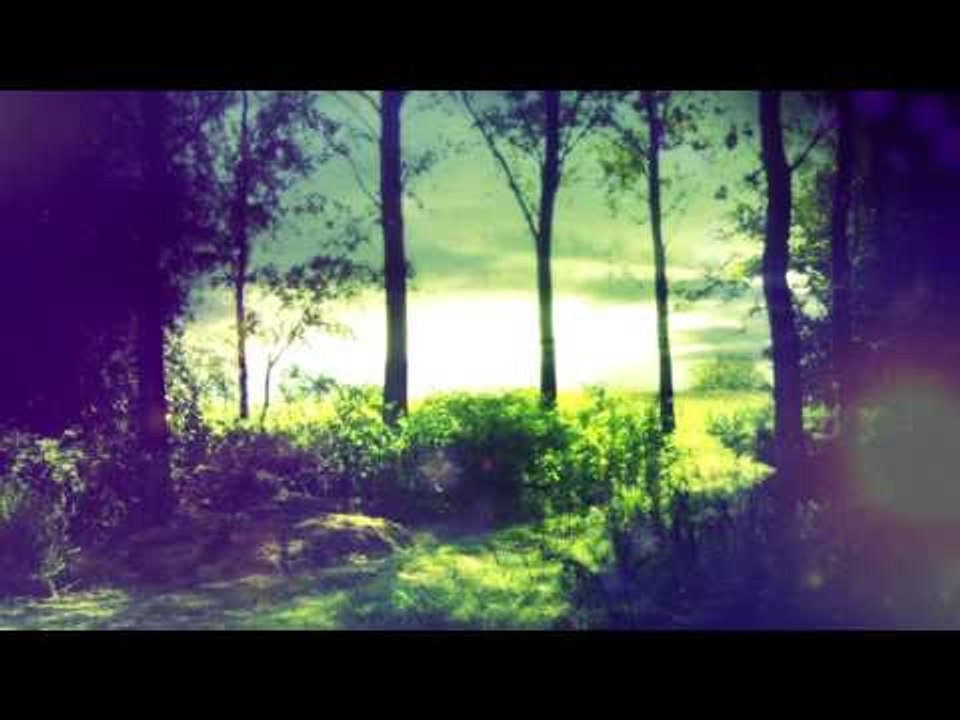 30 minutes de musique de méditation profonde: nature sonne, musique relaxante, musique apaisante