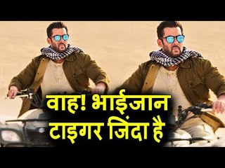 Tiger Zinda Hai में Salman का नया Look | Katrina | Ali Abbas Zafar.