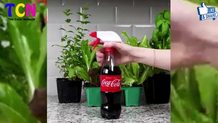 Hướng dẫn cách làm sạch gia dụng bằng nước ngọt có ga