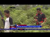 Setelah Ditangkap, Ditemukan Tumor Didalam Tubuh Harimau Bonita - NET 10
