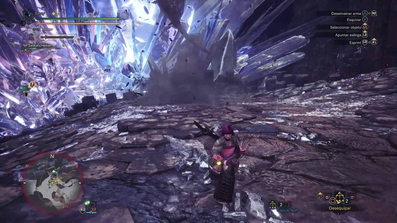 Monster Hunter: World™*