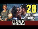 Tiger Zinda Hai ने पार किया 28 Million Views को पार | Salman Khan, Katrina Kaif