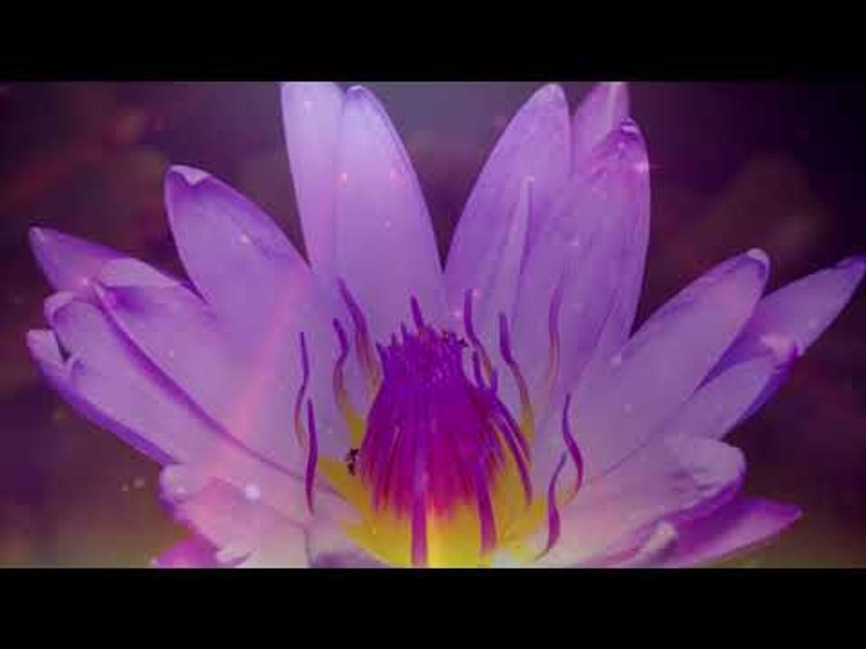 Musique apaisante et paisible au coucher du soleil, musique instrumentale relaxante au piano