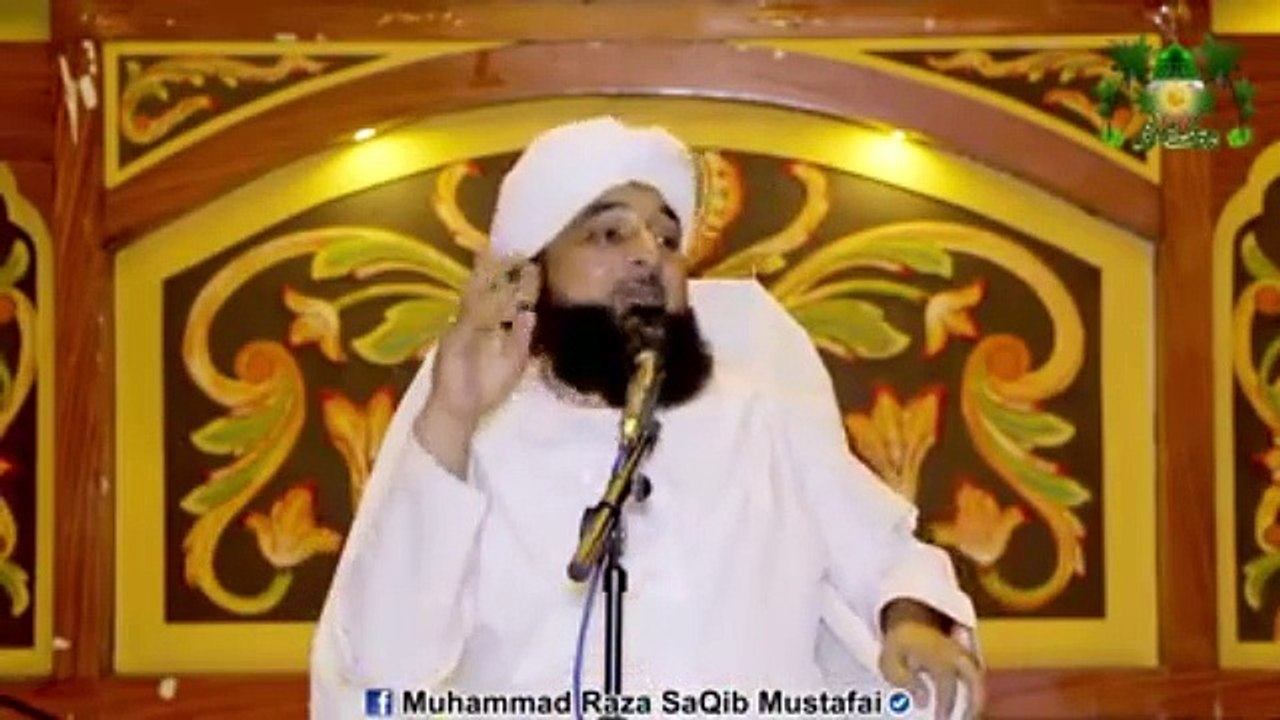 Muhammad Raza Saqib Mustafai (356)