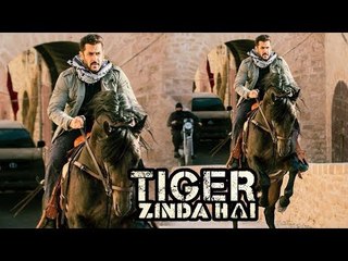 Salman Khan हुए घोड़े पर सवार Shoot के दौरान। Tiger Zinda Hai