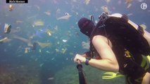 Asia: 'So much plastic!' British diver films deluge of waste off Bali