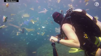 Asia: 'So much plastic!' British diver films deluge of waste off Bali