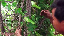 Natural Picnic Mats & Natural Saw - Primitive Culture